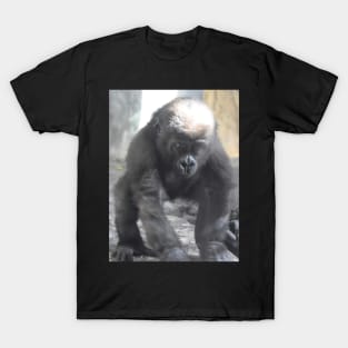 Western Lowland Gorilla baby T-Shirt